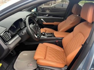 BYD Tang DM