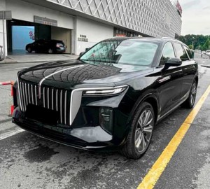Hongqi E-HS9