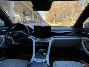 BYD Song PLUS DM