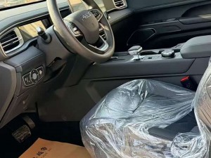 Chery Rely R08