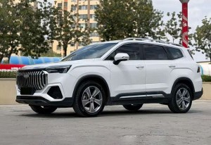 Geely Okavango (Haoyue L)