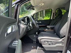 Hongqi HQ9