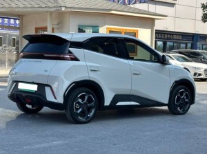 BYD Seagull