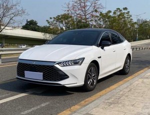 BYD Qin PLUS DM