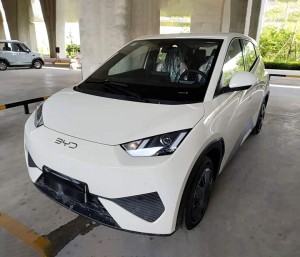 BYD Seagull