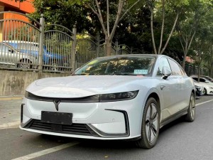 Voyah Passion EV