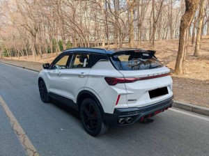 Geely Coolray SX11 (Binyue)