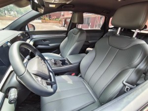 BYD Song Pro DM