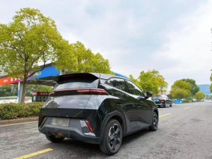 BYD Seagull