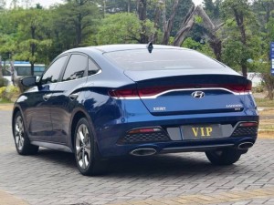 Hyundai Lafesta (Festa)