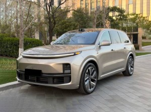 Li L9 (Ideal L9)
