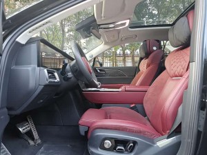 Hongqi E-HS9