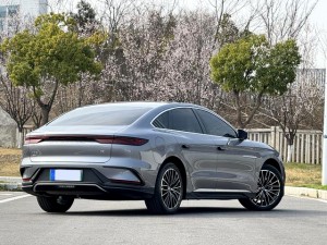 BYD HAN DM