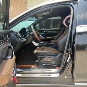 BYD Tang DM