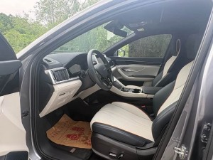 BYD Song PLUS DM