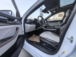 BYD Qin PLUS DM