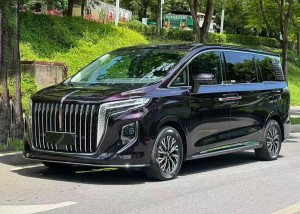 Hongqi HQ9