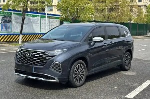 Hyundai Kustu