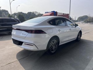 BYD Qin PLUS DM