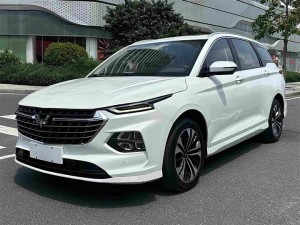Wuling Capgemini Victory