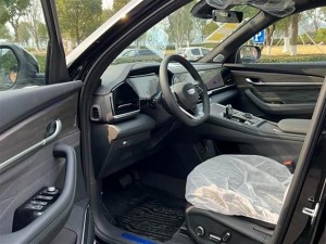 Geely Monjaro (Xingyue L)
