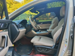 BYD Tang DM