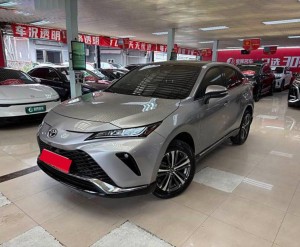 Toyota Venza (Wei Sa)