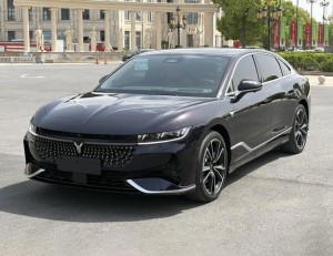 Voyah Passion PHEV