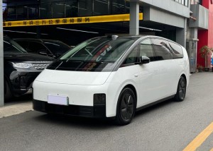 Li MEGA (Ideal MEGA)