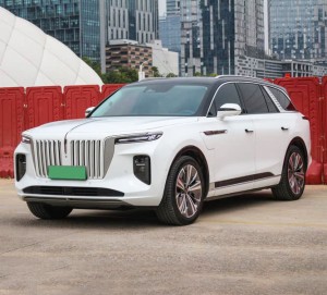 Hongqi E-HS9