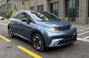 BYD Dolphin