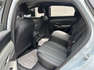 BYD Qin L DM