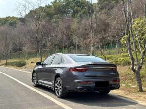Geely Preface (Xing Rui)