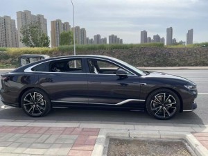 Voyah Passion PHEV