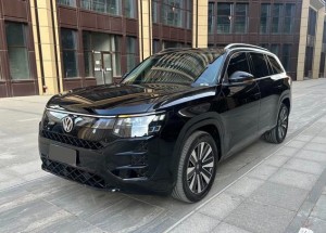 Volkswagen Teramont Pro