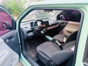 Changan Lumin
