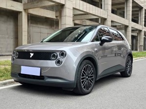 NIO Firefly