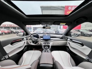 BYD Qin PLUS DM