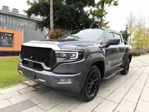 Foton Mars 9