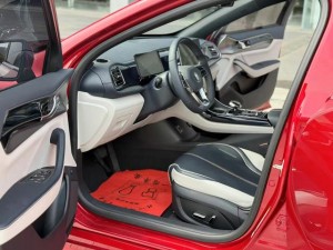 BYD Qin PLUS DM