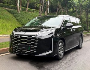 BYD Summer