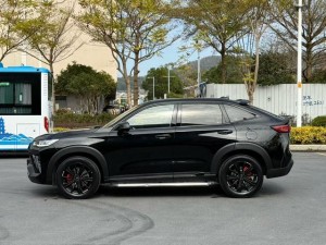 Haval H6S
