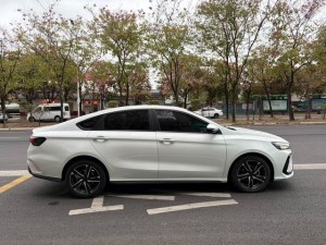 Geely Binrui