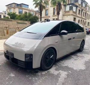 Li MEGA (Ideal MEGA)