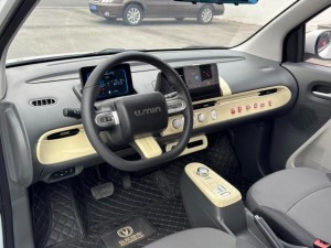Changan Lumin