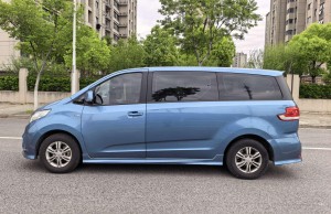 Maxus G10