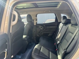 Haval H-Dog (Big Dog PLUS)