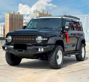 Tank 300