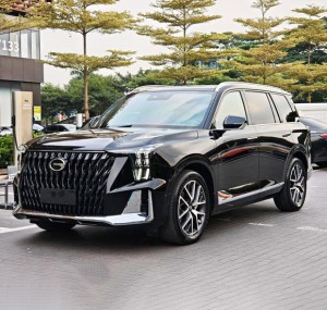 GAC Trumpchi GS8