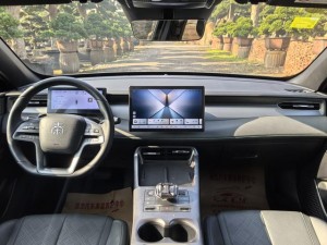 BYD Qin PLUS DM